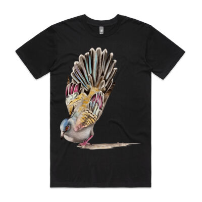 Crested Pigeon Thumbnail